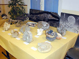 expo CEM 2004